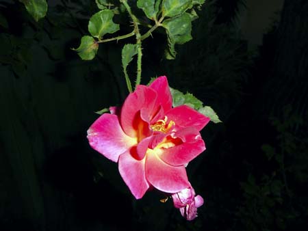 p1010243