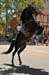 2009-07-04_11-29-05_#10009